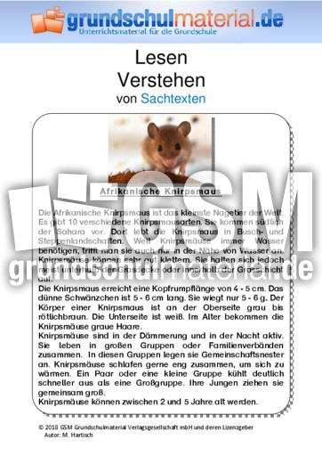 Afrikanische Knirpsmaus - Sachtext.pdf